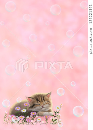 睡貓背景(肥皂泡)g-4 睡貓背景(肥皂泡)g-4 123221561