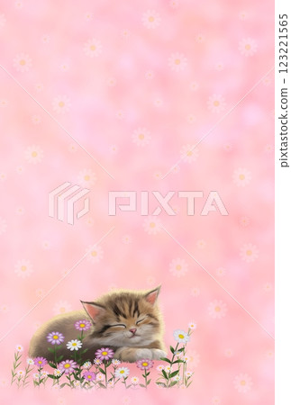 Sleeping cat background (floral pattern) h-4 123221565