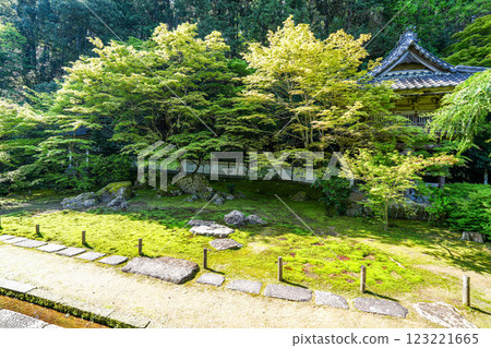 出石 - 兵庫縣豐岡市拓庵寺、崇教寺的初夏、本殿南庭1 123221665