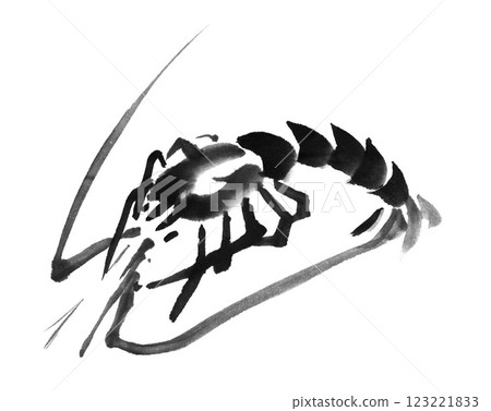 一幅黑白日本水墨畫，描繪的是一隻龍蝦，用真墨和毛筆在和紙上繪製而成 123221833