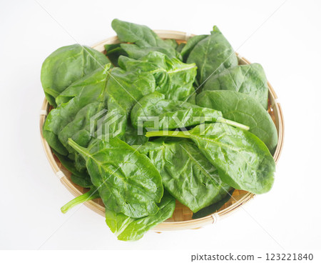 italian spinach vegetable leaves leafy vegetables spinach 123221840