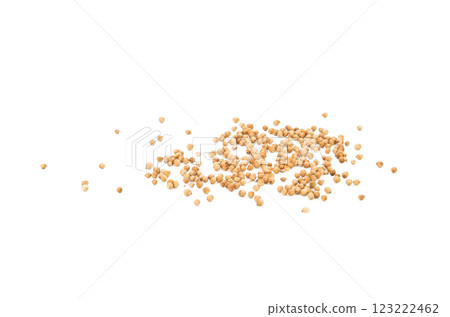 Dried coriander seeds Coriander seeds isolated on white background. 123222462