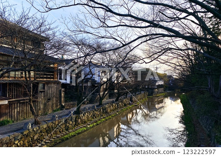 春天櫻花盛開前的近江八幡八幡堀 123222597