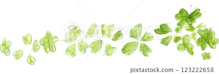 Illustration of clover drawn in watercolor 123222658