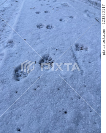 野獸的方式 野獸的方式 123223117