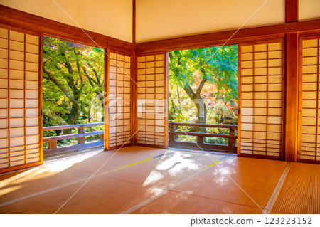 [Kyoto Scenery] Hokyo-in Temple - A moment of autumn with red and green leaves 123223152