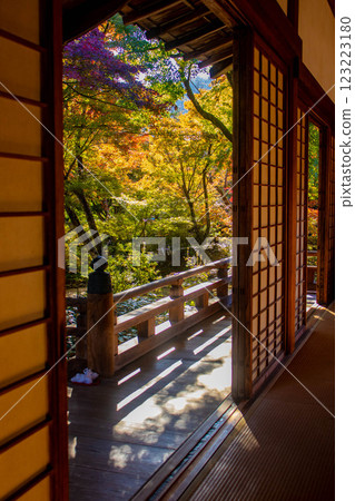 [Kyoto Scenery] Hokyo-in Temple - A moment of autumn with red and green leaves 123223180