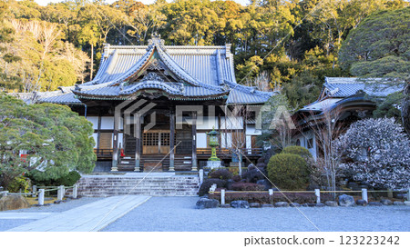 Winter at Shuzenji Temple in Izu Peninsula 123223242