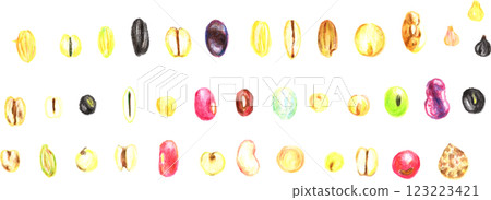 手繪小米 123223421