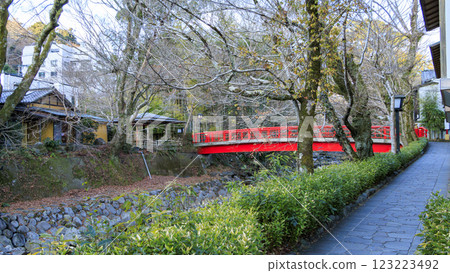 Shuzenji Bamboo Forest Path in Winter 123223492