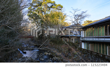 冬季的修善寺竹林小徑 123223494