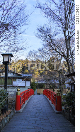 冬季的修善寺竹林小徑 123223495