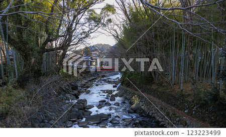 Shuzenji Bamboo Forest Path in Winter Shuzenji Bamboo Forest Path in Winter 123223499