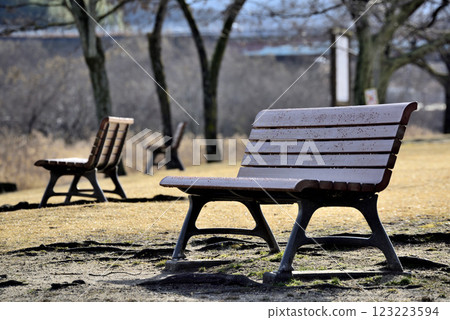 Park bench 123223594