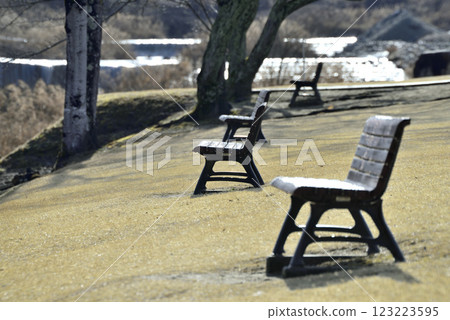 Park bench 123223595