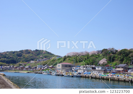 Scenery of cherry blossoms blooming in Shiota area, Awaji City, Hyogo Prefecture Scenery of cherry blossoms blooming in Shiota area, Awaji City, Hyogo Prefecture 123223700