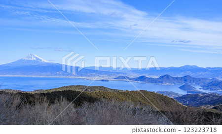 從達摩山上眺望駿河灣和白雪皚皚的富士山 123223718