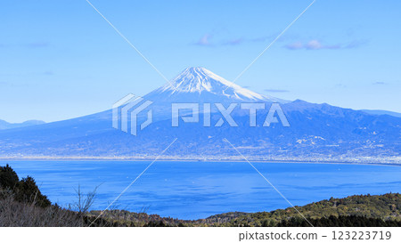 從達摩山上眺望駿河灣和白雪皚皚的富士山 123223719