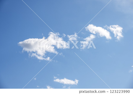Spring sky, blue sky, sunny, February [Isehara City, Kanagawa Prefecture] 123223990