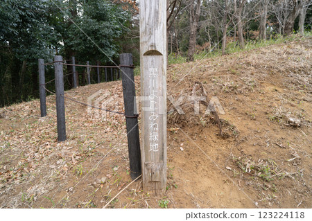 黑川橫峰綠地（神奈川縣川崎市） 123224118