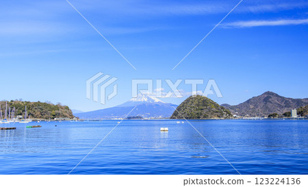 Mount Fuji and Awashima Island seen from Suruga Bay 123224136