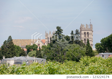 Aerial view of the Saint-Pierre Cathedral in Montpellier 123224174
