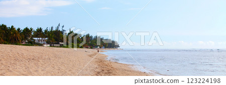 Panoramic view of the beach of Les brisants in Saint-Gilles les bains Panoramic view of the beach of Les brisants in Saint-Gilles les bains 123224198