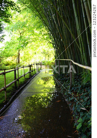 吉維尼莫奈花園的竹徑 123224267