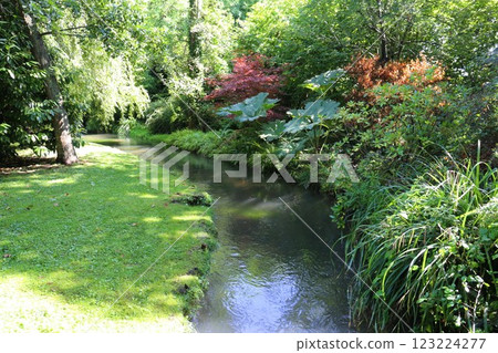 A stream in Monet's garden at Giverny A stream in Monet's garden at Giverny 123224277