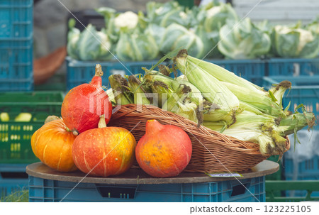 Fresh vegetable, corn and pzumpkin displayed for sale at farmers market Fresh vegetable, corn and pzumpkin displayed for sale at farmers market 123225105
