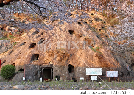 Spring at Yoshimi Hyakuana (Yoshimi Town, Hiki District, Saitama Prefecture) 123225364