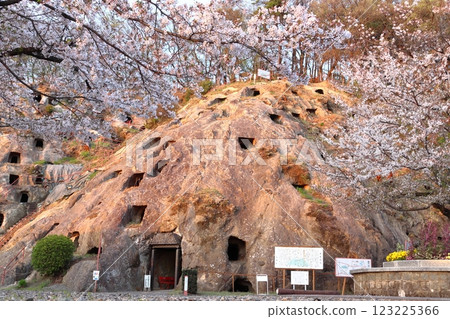 Spring at Yoshimi Hyakuana (Yoshimi Town, Hiki District, Saitama Prefecture) 123225366