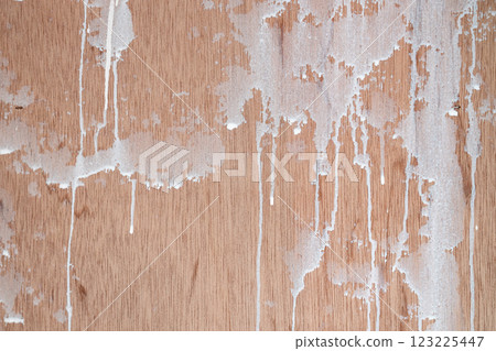 DIY renovation (sealer application process) DIY renovation (sealer application process) 123225447