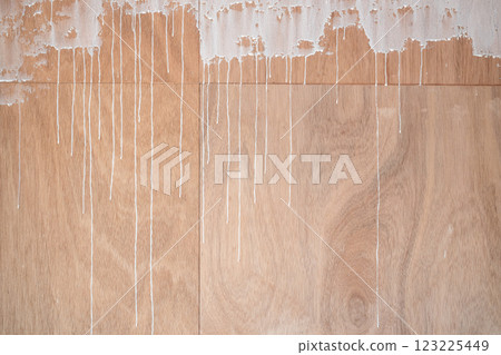 DIY renovation (sealer application process) 123225449
