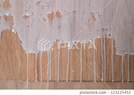 DIY renovation (sealer application process) DIY renovation (sealer application process) 123225452