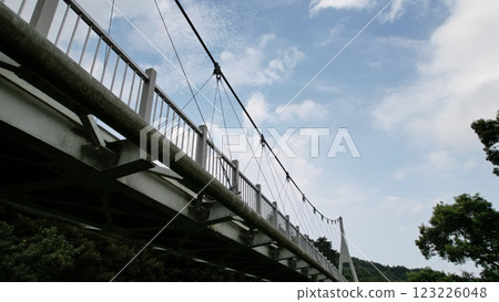 Bridge in the blue sky - drone 123226048