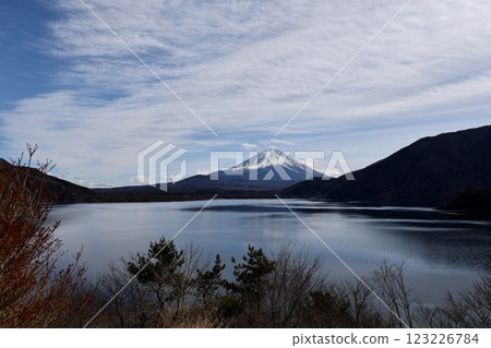 Mount Fuji  123226784
