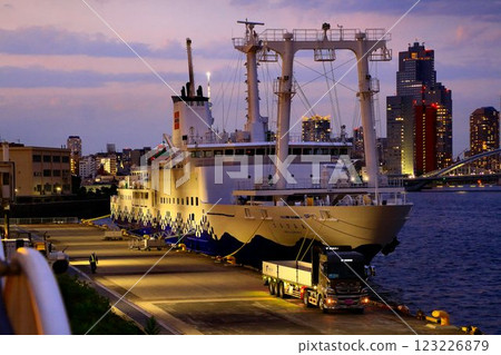 支撐島嶼生活的第三代貨運船“Sarubia丸” 支撐島嶼生活的第三代貨運船“Sarubia丸” 123226879