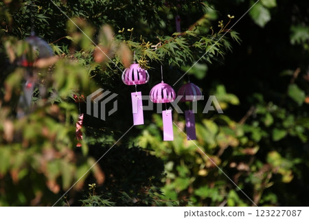 A seasonal feature of summer: Wind chimes ⑪ A seasonal feature of summer: Wind chimes ⑪ 123227087