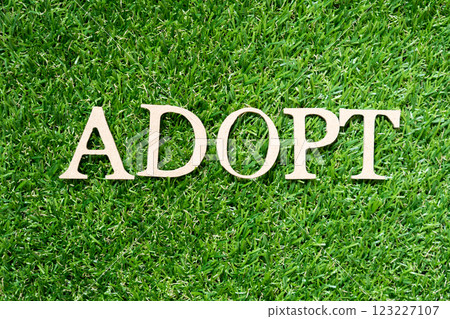 Wood alphabet letter in word adopt on artificial green grass background Wood alphabet letter in word adopt on artificial green grass background 123227107