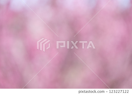 粉紅色花朵春天失焦背景素材 123227122