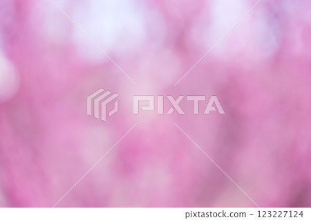 粉紅色花朵春天失焦背景素材 123227124