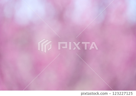 粉紅色花朵春天失焦背景素材 123227125