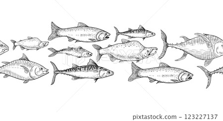 School of fish salmon, tuna black white vector seamless border on white. Shoal trout, mackerel engraving hand drawn. Flock nerka sea fish monochrome repeat texture. Group sea fish graphic line art. School of fish salmon, tuna black white vector seamless border on white. Shoal trout, mackerel engraving hand drawn. Flock nerka sea fish monochrome repeat texture. Group sea fish graphic line art. 123227137