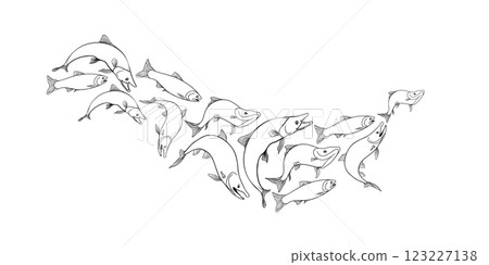 School of fish salmon black white vector illustration. Shoal trout silhouette hand drawn. Nerka sea fish painted linear. Sockeye drawing in monochrome. Design element for package, label, sign board. School of fish salmon black white vector illustration. Shoal trout silhouette hand drawn. Nerka sea fish painted linear. Sockeye drawing in monochrome. Design element for package, label, sign board. 123227138