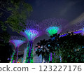 Gardens by the Bay 123227176