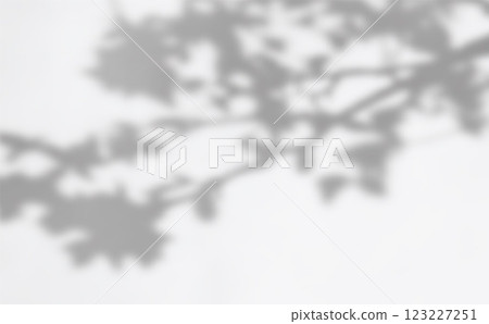 Soft Blurred Shadow Overlay with Natural Leaf Patterns for Elegant Backgrounds, Branding, and Social Media Design. Vector illustration Soft Blurred Shadow Overlay with Natural Leaf Patterns for Elegant Backgrounds, Branding, and Social Media Design. Vector illustration 123227251