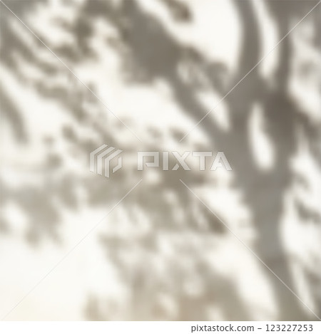 Tree Shadow Overlay for Branding, Organic Aesthetics, Minimalist Design, and Modern Creative Projects. Vector illustration 123227253