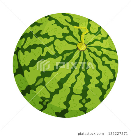 Vector Fresh green Whole watermelon. Cartoon ripe watermelon. Hand drawn flat style isolated Vector Fresh green Whole watermelon. Cartoon ripe watermelon. Hand drawn flat style isolated 123227271