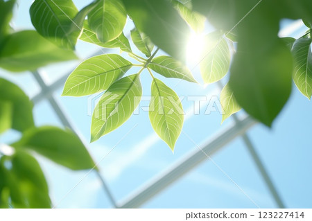 Ventilation systems improve temperature and humidity control in greenhouses. 123227414